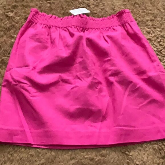 J. Crew Factory Pink Skirt - Picture 1 of 3